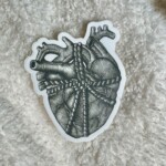 All Tied Up | Anatomical Heart Sticker | Black & White Ink Drawing
